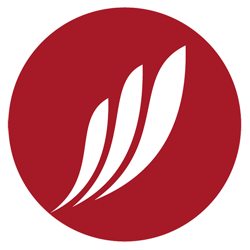 Red Kite icon